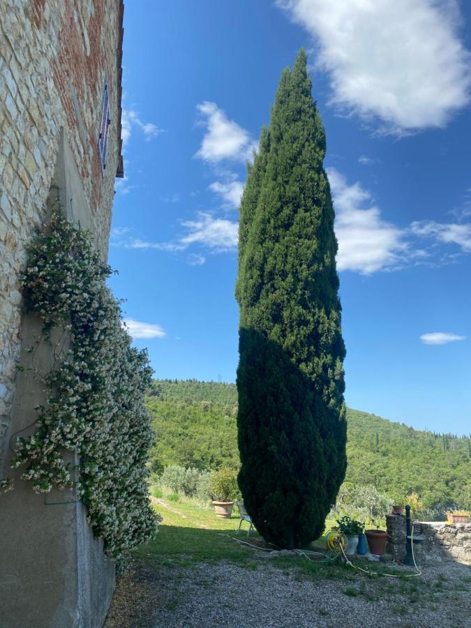 Hotel Gavene Villamagna  Esterno foto